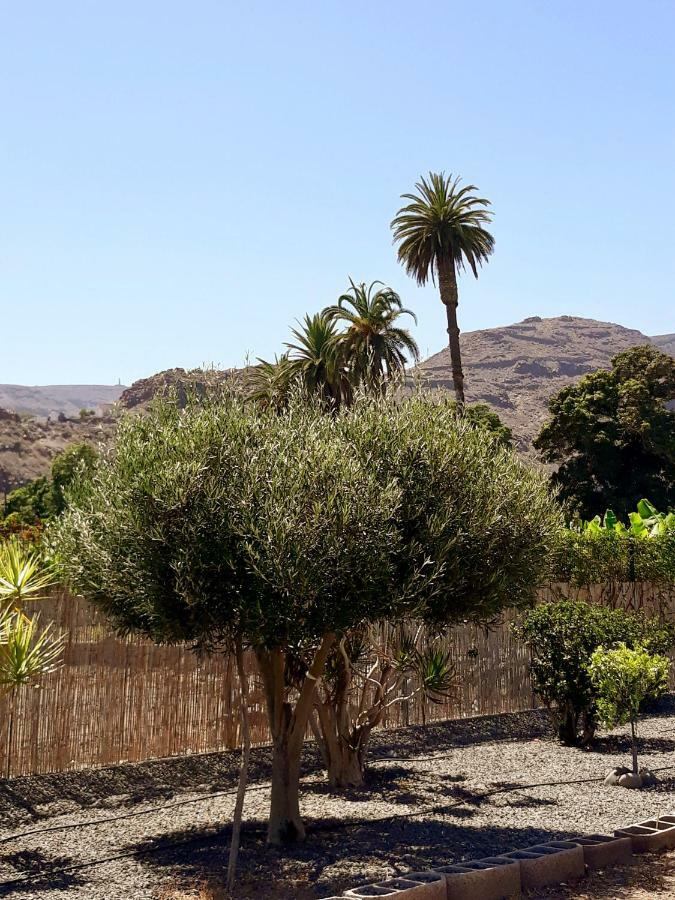 Los Olivos プラヤ・デ・サンティアゴ エクステリア 写真